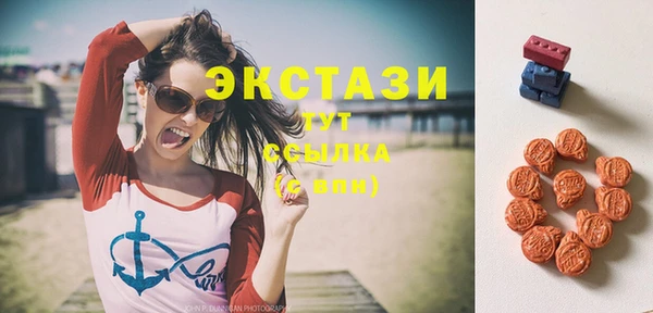 гашик Вязьма