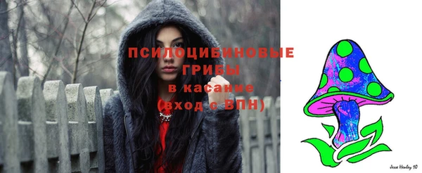 гашик Вязьма