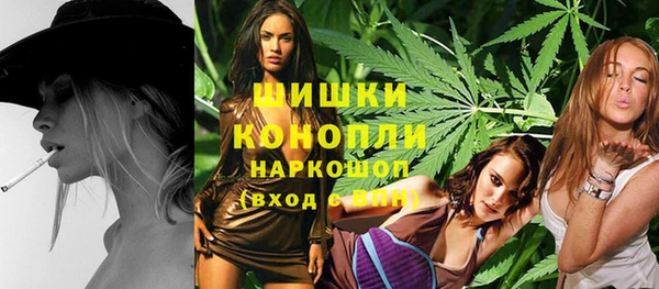 шишки Вязники