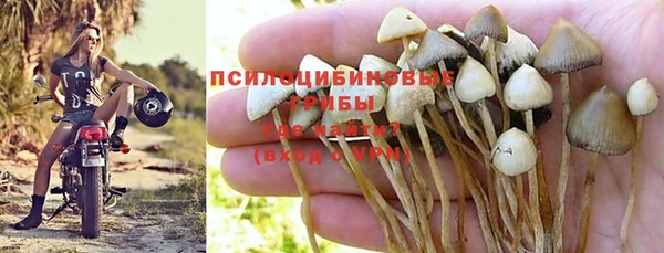 шишки Вязники