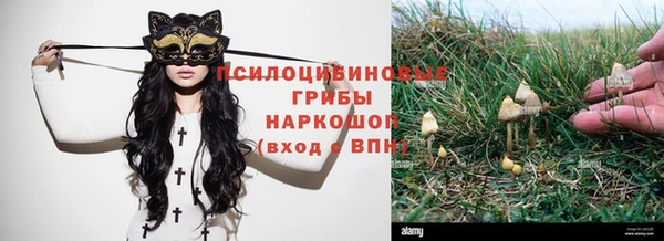 кристаллы Вяземский