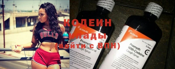 гашик Вязьма