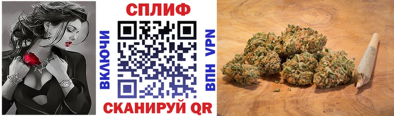 Купить закладки  Кущёвская  МАРИХУАНА тримм 